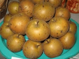 Pyrus pachis in syrup