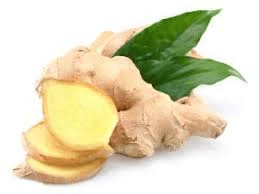 Ginger root, fresh
