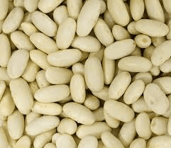 Đậu trắng hạt (Đậu Tây)