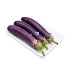 Aubergine