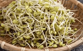 Giá đậu xanh