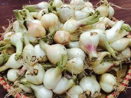 Hành củ tươi