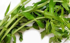 Water spinach, dried