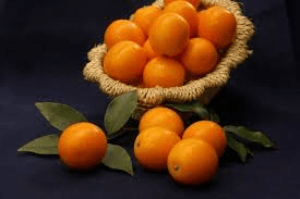 Quất chín (cả vá)