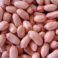 Cashew nut, common