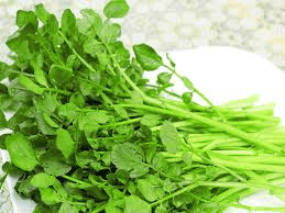 Watercress