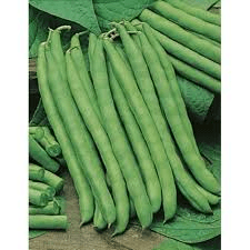 Beans, kidney, in pod, French bean; Navy been