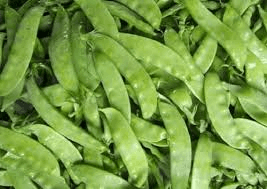 Green peas; field pea; Peas garden