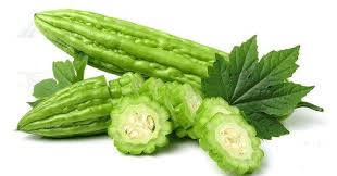 Balsam-pear, balsam-apple, bitter melon, bitter gourd