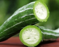 Gourd, sponge gourd, Japanese