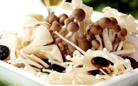 Nấm mỡ (Nấm tây)