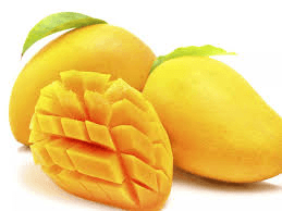 Mango, common; India mango, ripe